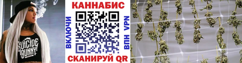 как найти закладки  это формула  Бошки Шишки конопля  Бородино 